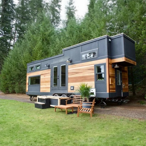 TinyVibe